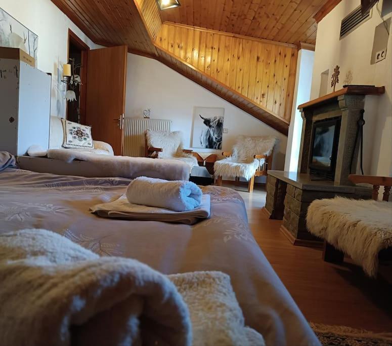 Cozy Loft With Fireplace & View * Metsovo