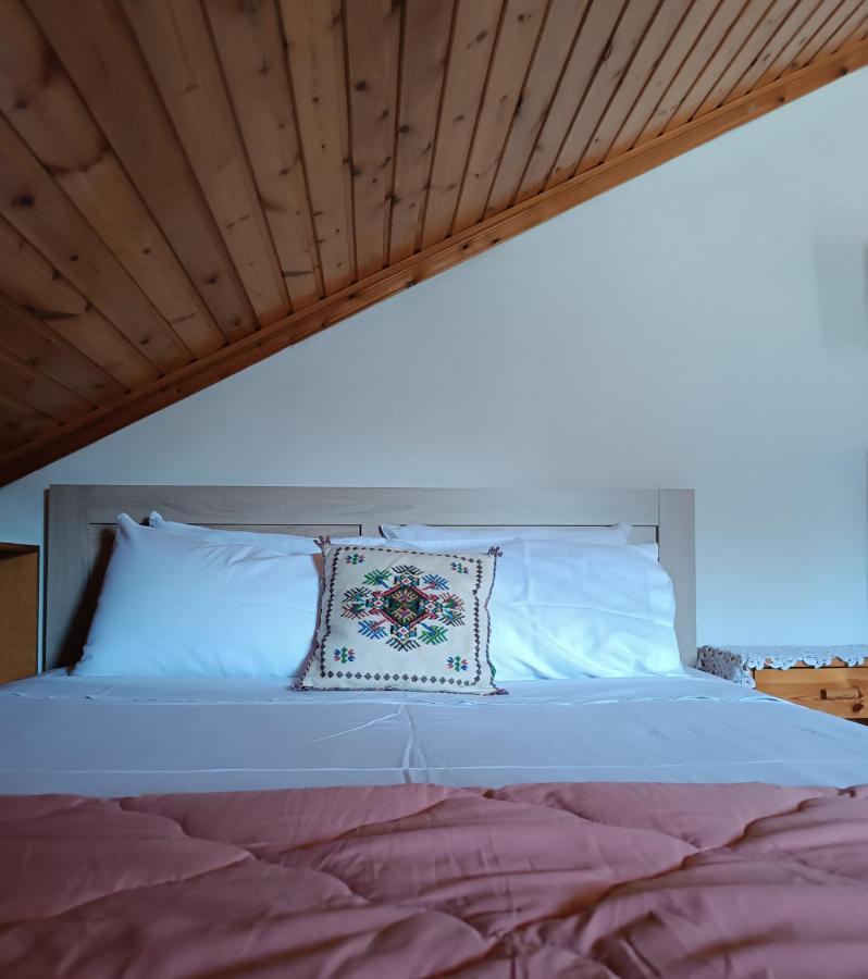 Apartment Cozy Loft With Fireplace & View Metsovo